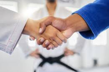 Shaking hands - symbolizing traditional martial arts